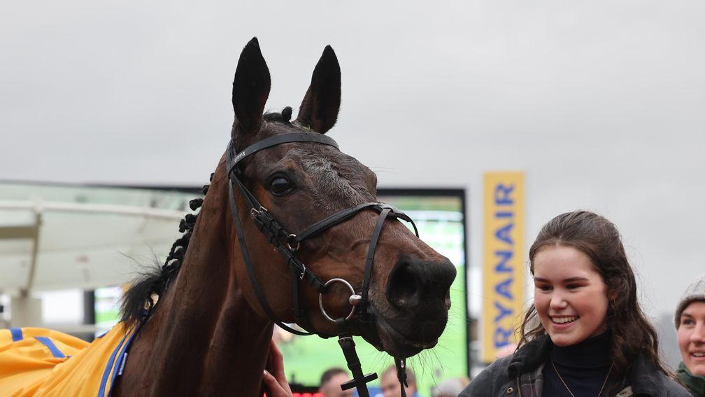Golden Ace: Mares' Novice Hurdle winner is a mare of great potential for her trainer and sire
