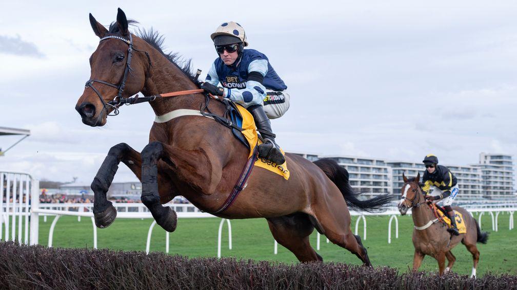 Edwardstone: very much in the mix for the Champion Chase