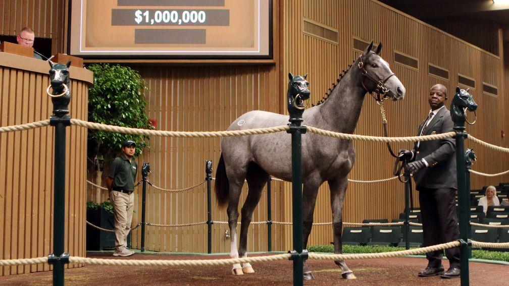 Tapit has had a remarkable week and this filly was another of his progeny to hit seven figures