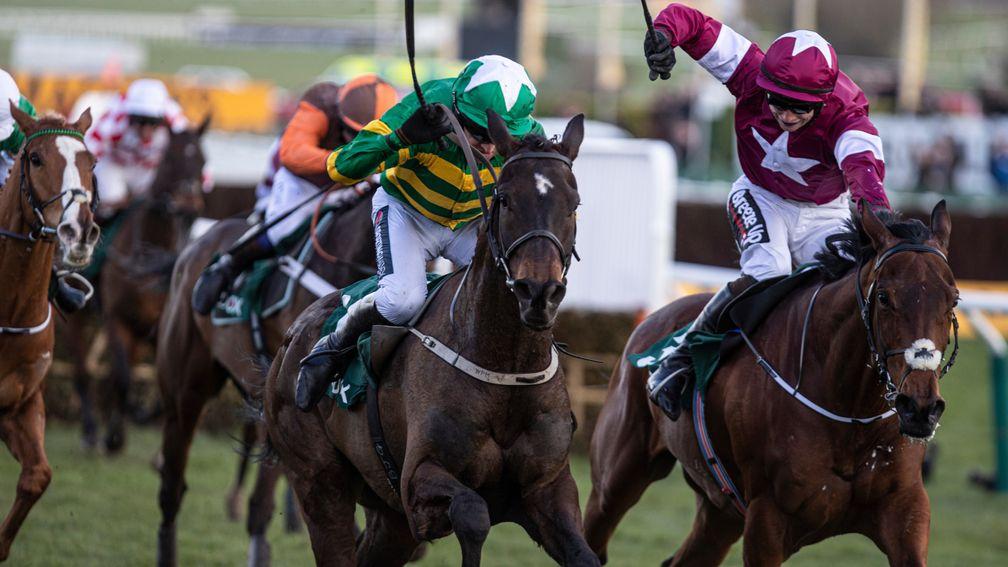 Saint Roi (green and gold): a leading contender at Punchestown