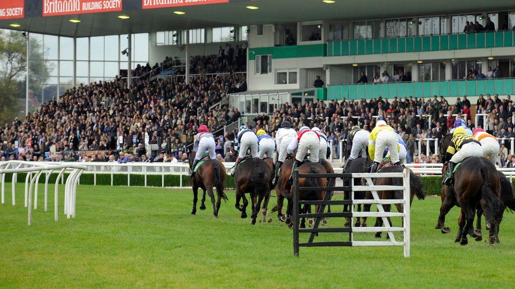 The field pass the stands during the extended 2m6f novice hurdle won by Tarablaze and RIchard Johnson (October 15, 2008) Picture: David Dew