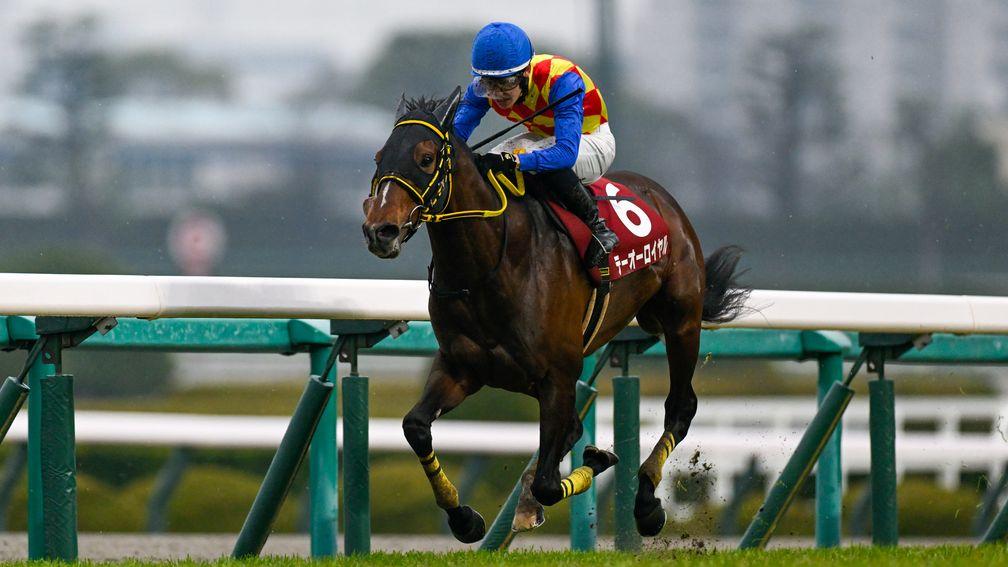 T O Royal on his way to a five-length success in the Hanshin Daishoten on Sunday