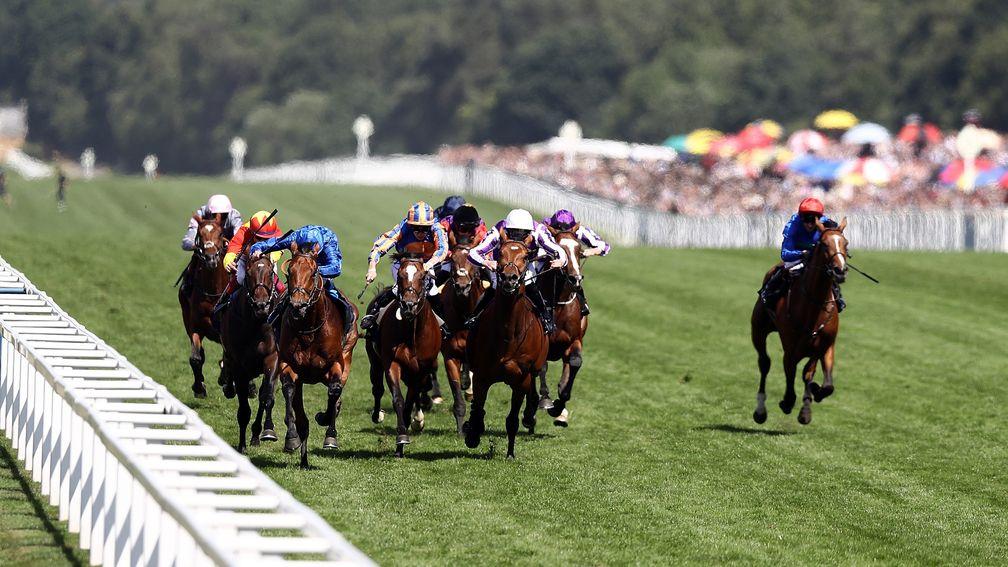 Raa Atoll (red and yellow, left) will be aimed at Royal Ascot