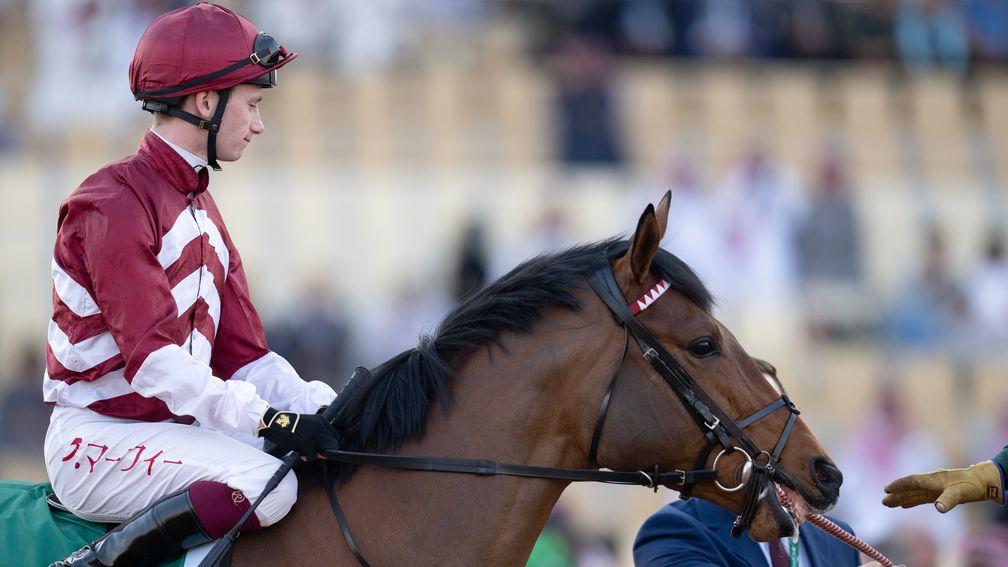  Missed The Cut: Grade 3 Tokyo City Cup Stakes and Royal Ascot winner is a graduate of the Tattersalls February Sale