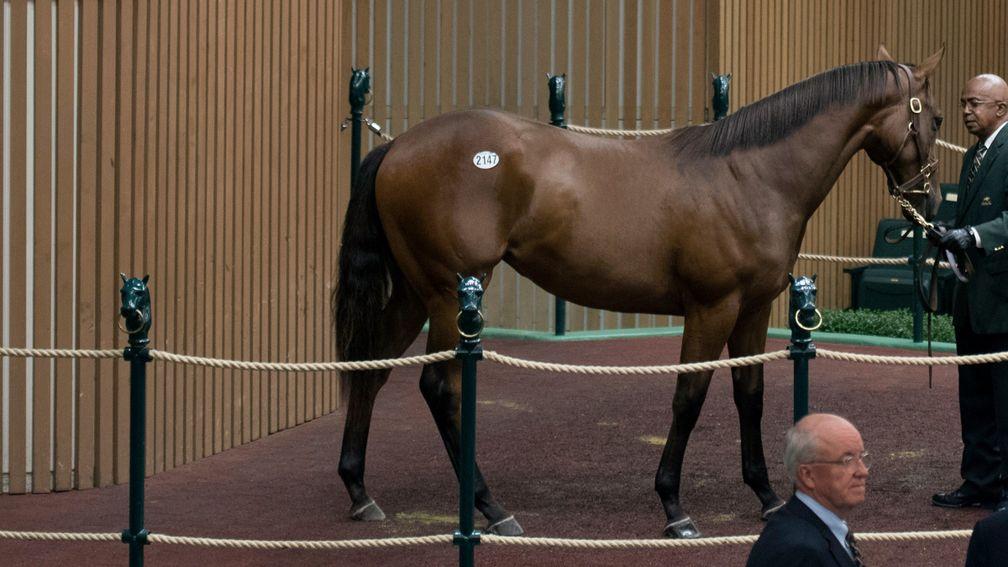 At $285,000 this Orb filly made the second highest price on the opening day of Book 4