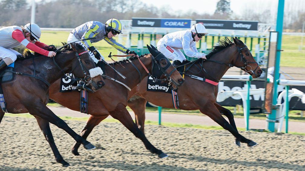One Night Stand: runs in the 5f handicap at Lingfield on Saturday