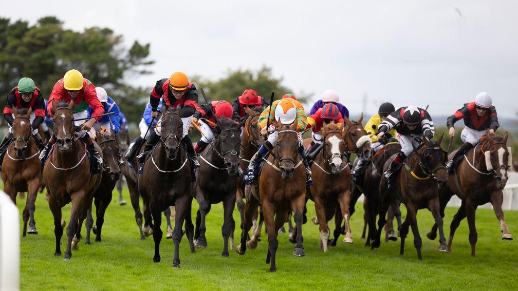 The Gambling Regulation Bill affects many different sectors including horseracing and the National Lottery