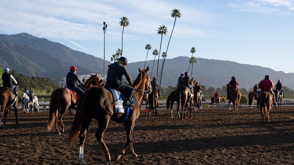 Horses head out to exercise after the main track was harrowed at Santa Anita