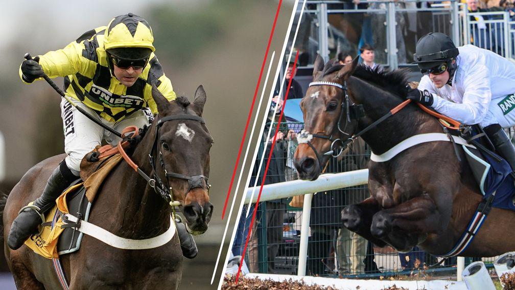 Top-class stablemates Shishkin and Constitution Hill could both run at Newcastle on Saturday