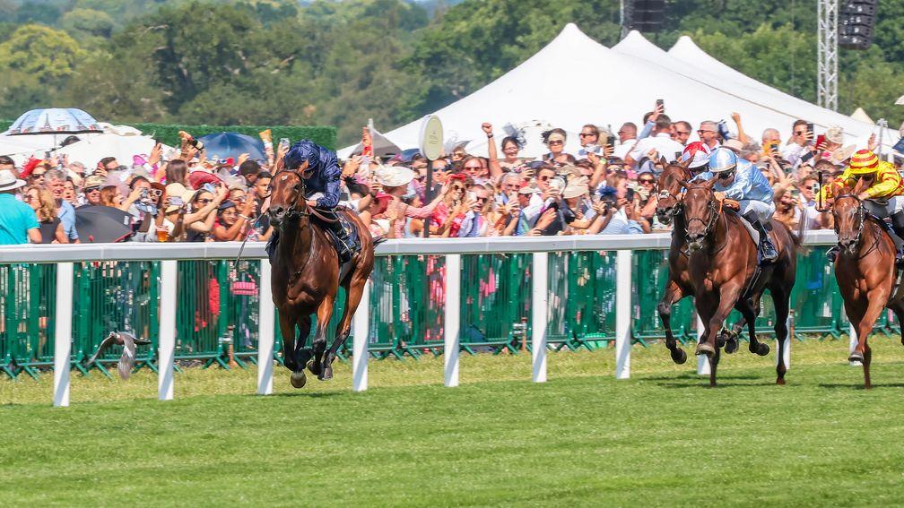 Warm Heart (dark blue cap): stretches clear of her rivals in the Ribblesdale Stakes



