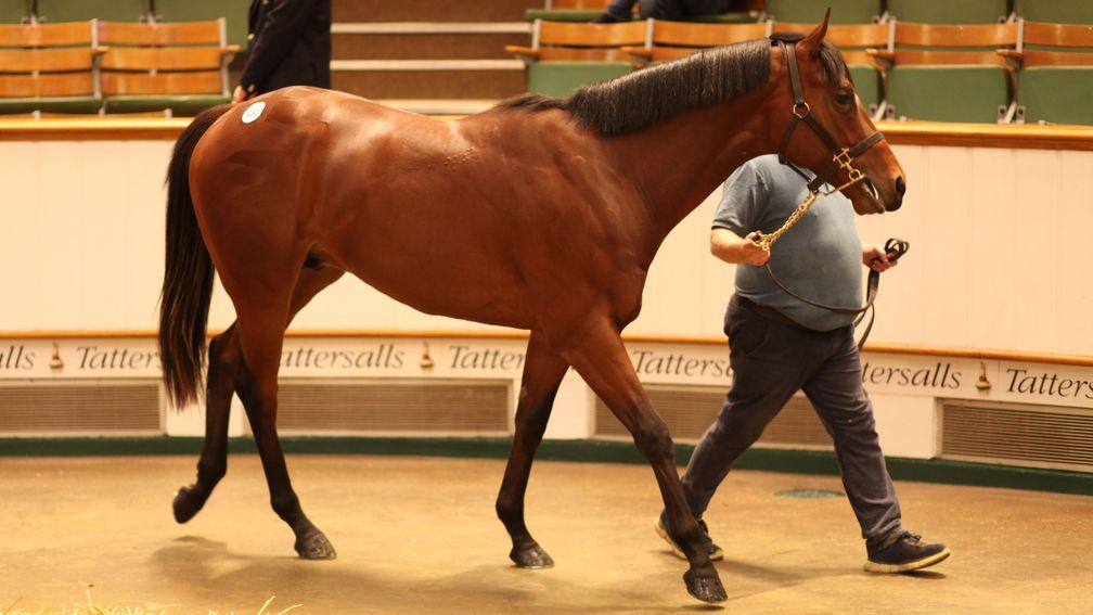 Legends Of War in the Tattersalls sales ring making 900,000gns three months ago