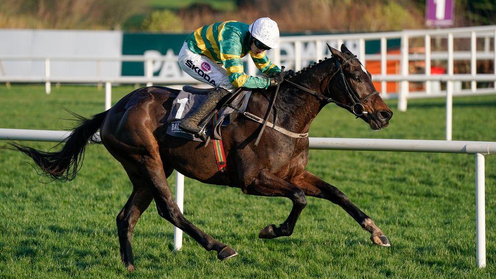 Fact To File: brilliant in the beginners chase