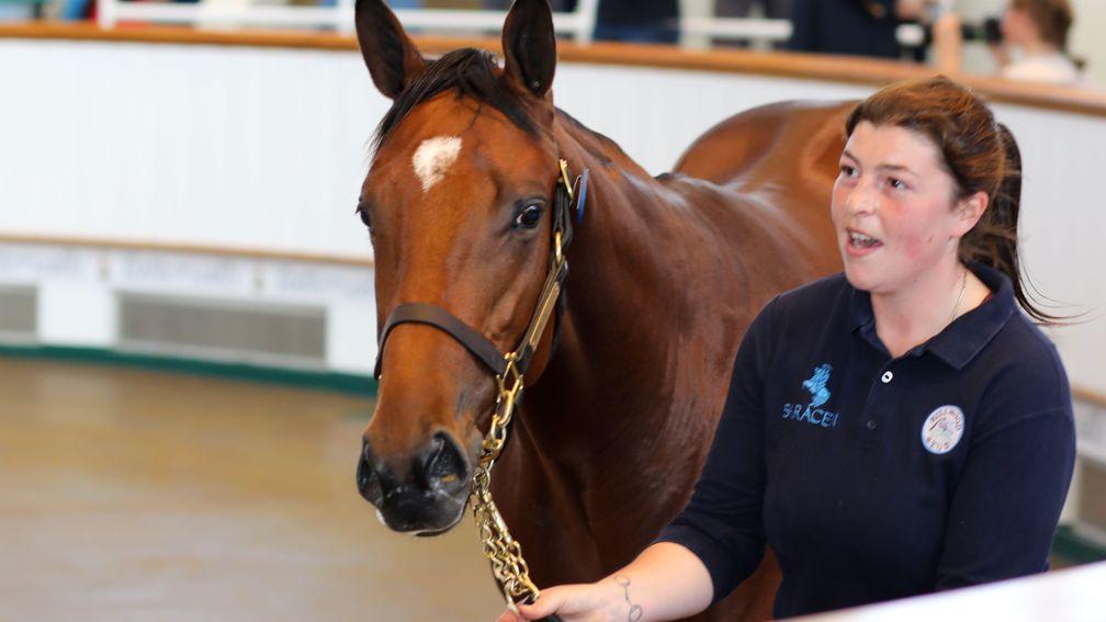 Hillwood Stud’s Sea The Stars colt got the third day of Tattersalls Book 1 off to a swift start
