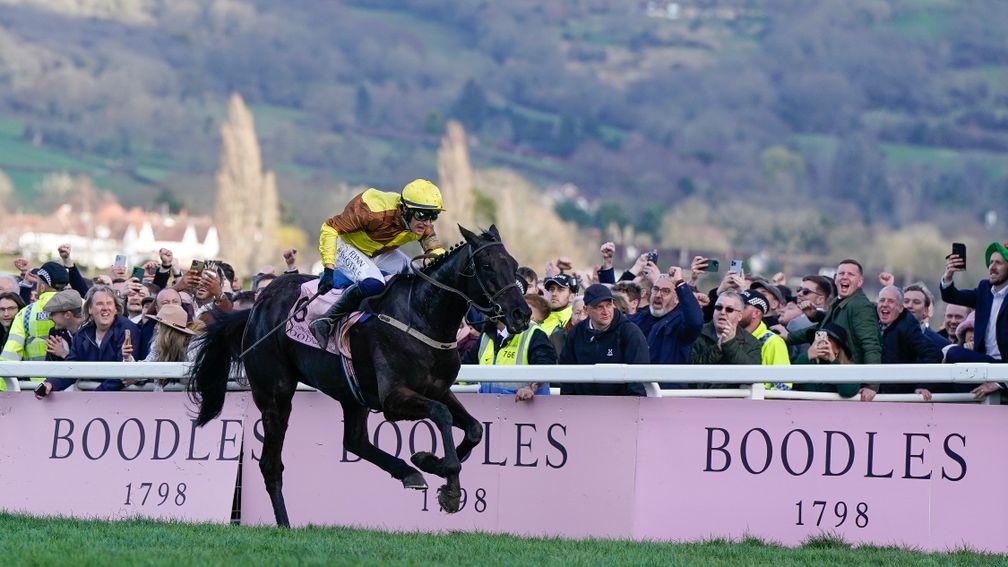 William Hill are to become the first bookmaker to go non-runner money back for the 2024 Cheltenham Festival