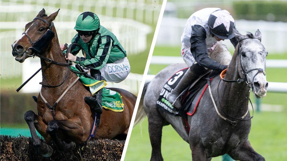 Hewick (left) and Irish Point: French Champion Hurdle contenders