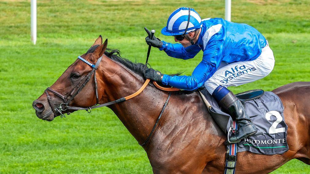 Baaeed: next outing could be the Irish Champion Stakes on September 10