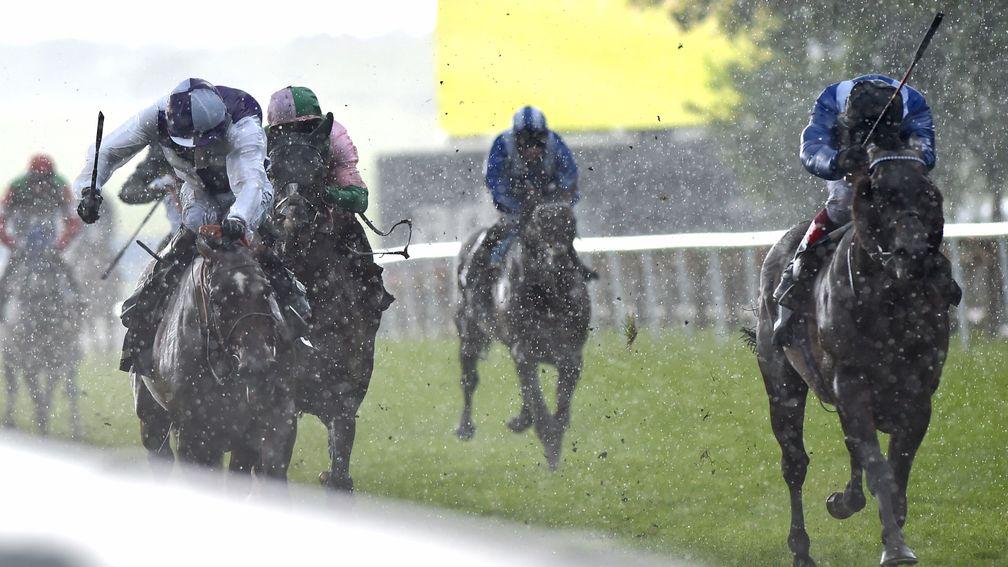 Breton Rock (left), bids to repeat this win in the Betway Criterion Stakes at Newmarket last year