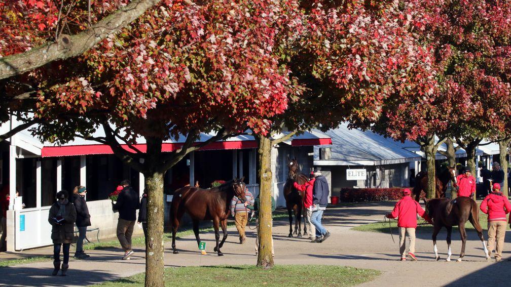 Keeneland: continuing until Wednesday