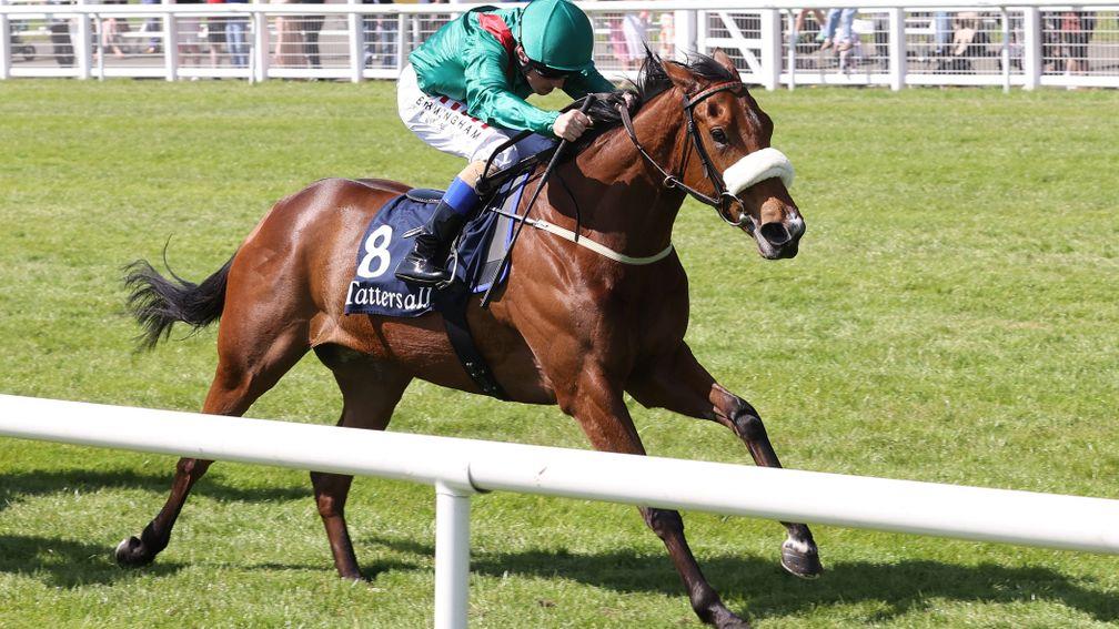 Tahiyra wins the Irish 1,000 Guineas at the Curragh