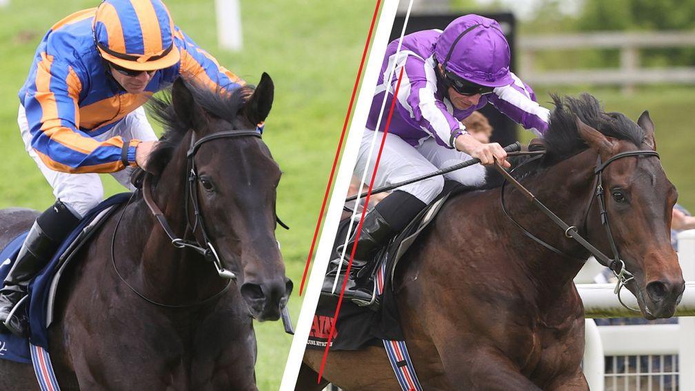 Meditate (left) and Blackbeard could spearhead Aidan O'Brien's Newmarket team this weekend