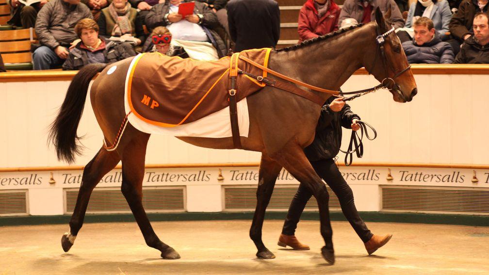 Marsha: sells for 6,000,000gns in the ring at the Tattersalls December Mares Sale on Tuesday