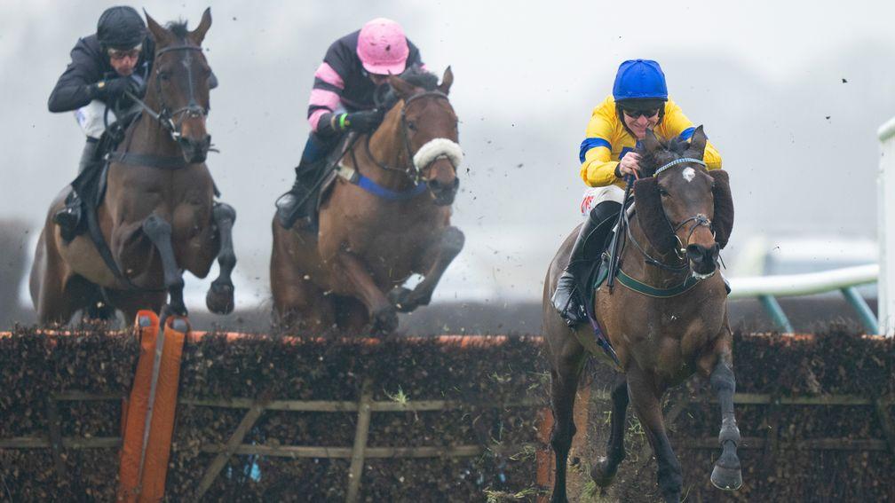 Stag Horn (right) on his way to victory in the Leamington Novices' Hurdle at Warwick last month
