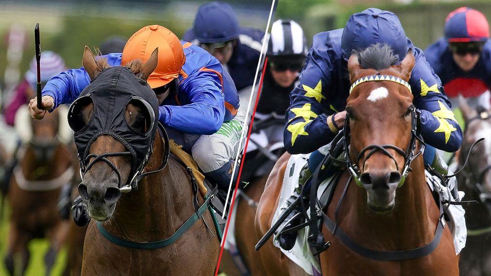 Mr Wagyu and Inver Park: leading hopes in Saturday's Coral Stewards' Cup at Goodwood