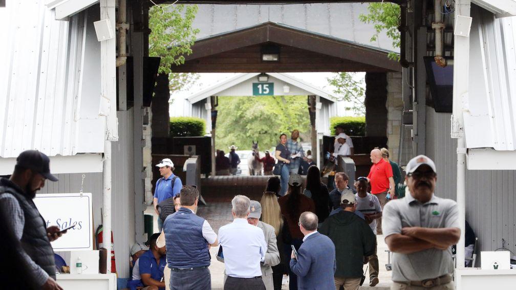 The barns at Keeneland will be a hive of activity over the next fortnight