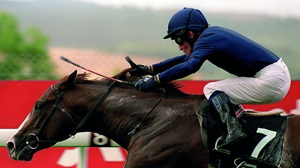 Giant's Causeway: won five consecutive Group 1s as a three-year-old