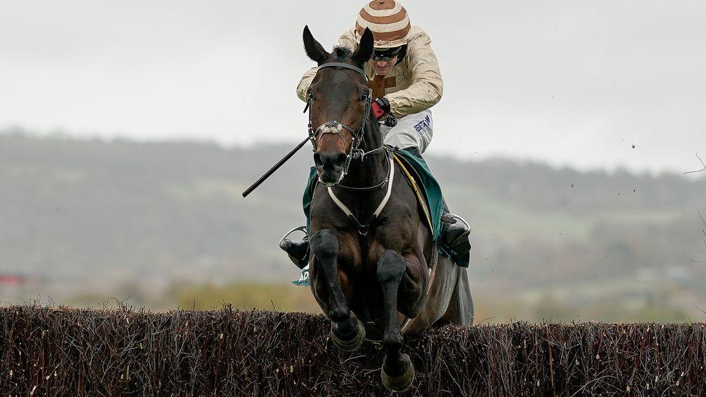 Tom Bellamy riding Broadway Boy clear the last to win the novice chase at Cheltenham