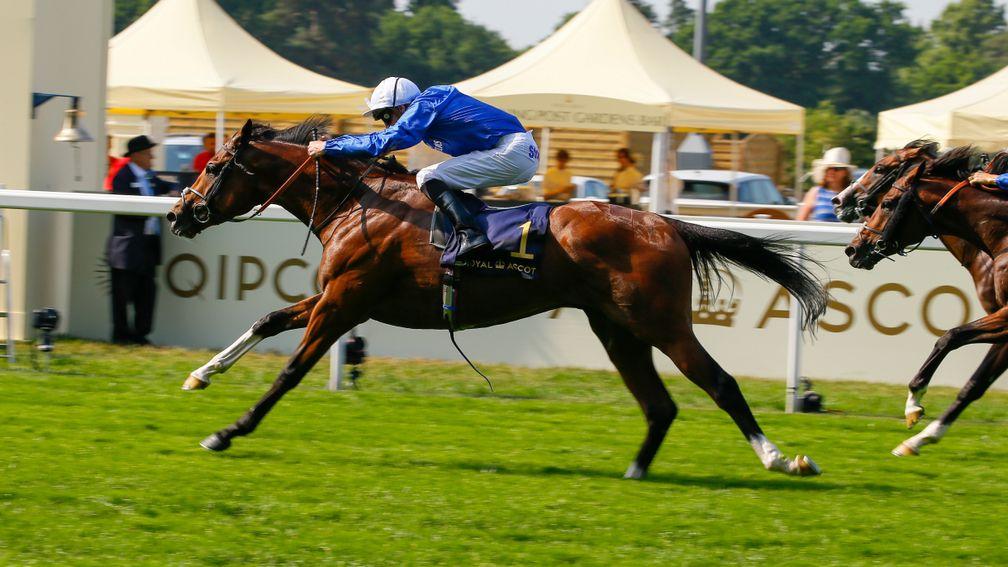 Barney Roy strides clear of the opposition in the St James's Palace Stakes