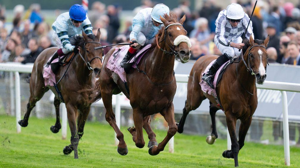 Giavellotto (centre) will head for Goodwood after Yorkshire Cup success