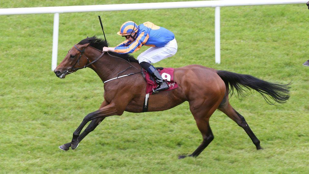 Wedding Vow: Group 2-winning full-sister to Serpentine