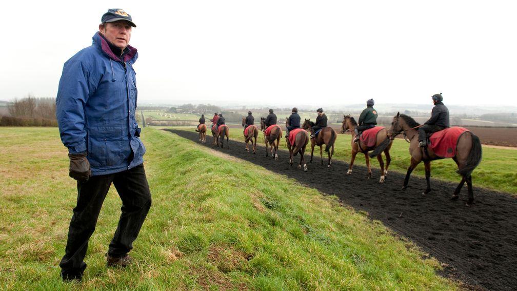 Paul Webber: 'I've always thought Punchestown would suit her very well'