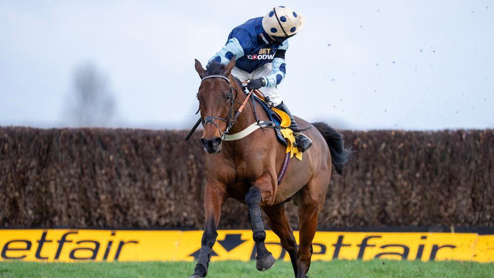 Edwardstone: back into single figures for the Champion Chase