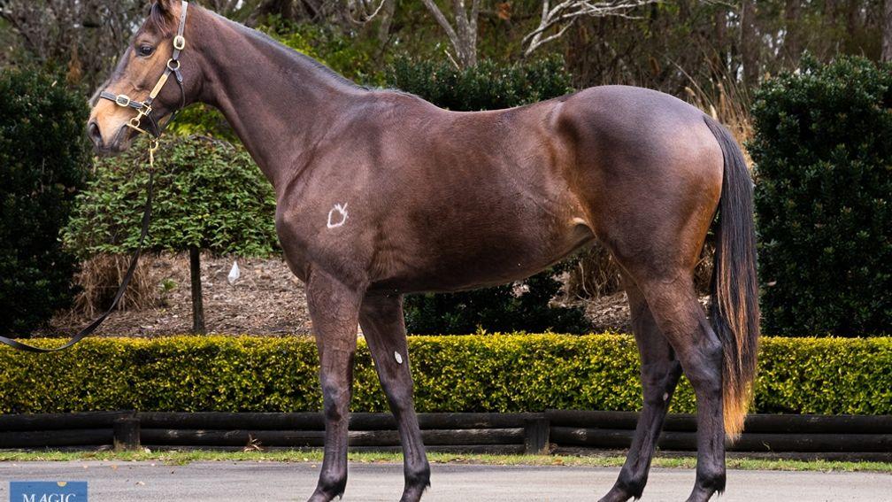 The two-year-old Pierro filly: "I think she’s a black-type, Group 1 horse, for sure"