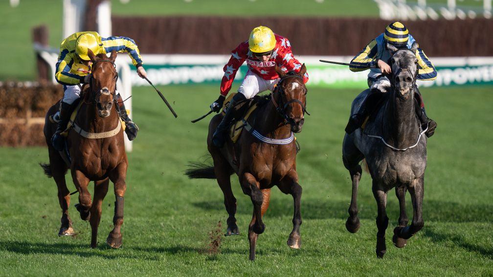 War Correspondent (right): finished third at Cheltenham last time