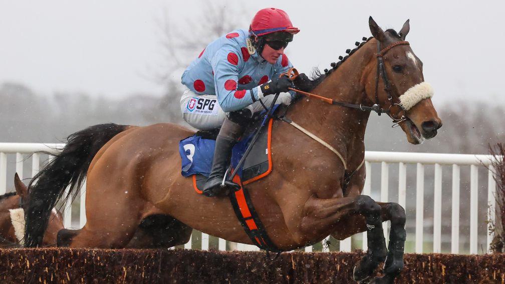 Sounds Russian: set to run in Saturday's Cotswold Chase
