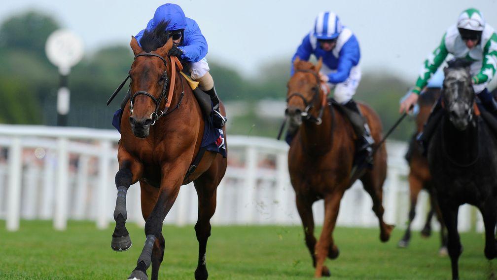 Farhh, seen here winning the 2013 Lockinge Stakes, is proving a success at stud despite fertility issues
