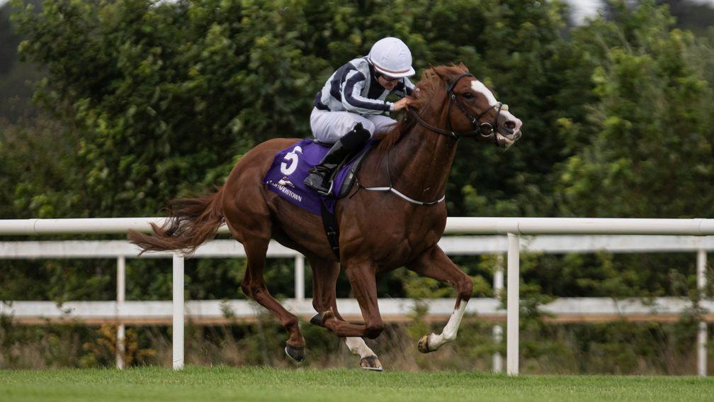 The Jessica Harrington-trained Free Solo pictured winning impressively at Leopardstown