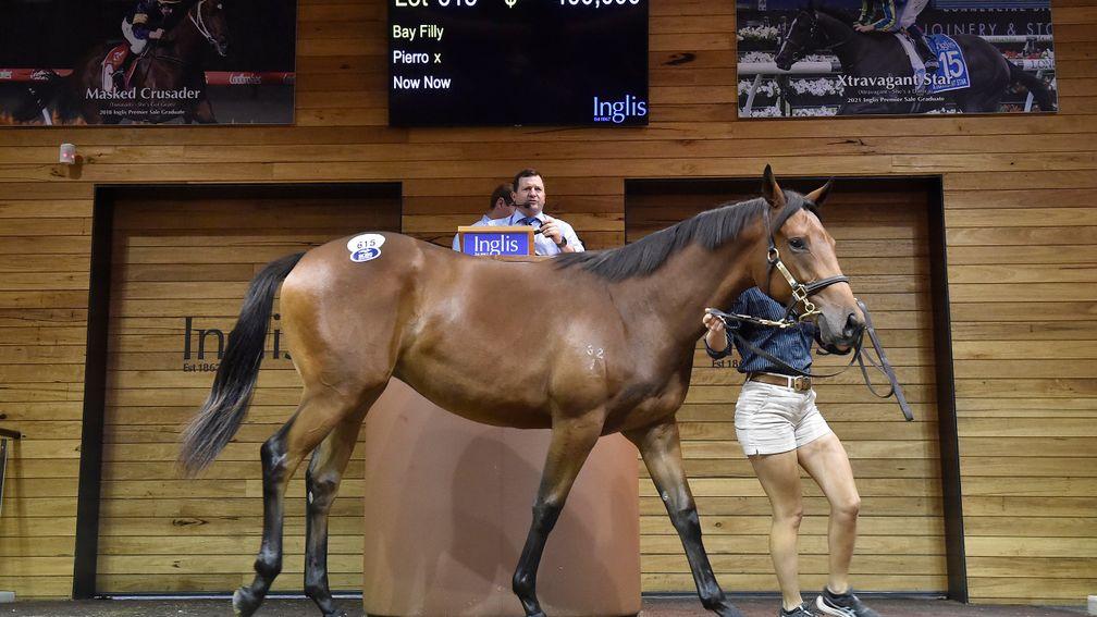 The Pierro filly out of Now Now who jointly topped Tuesday's session at A$400,000