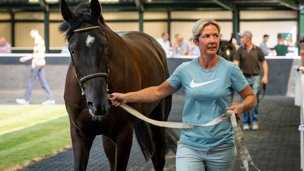 Jackie Pugh and the session-topping Diamond Boy in the outside ring at Goffs