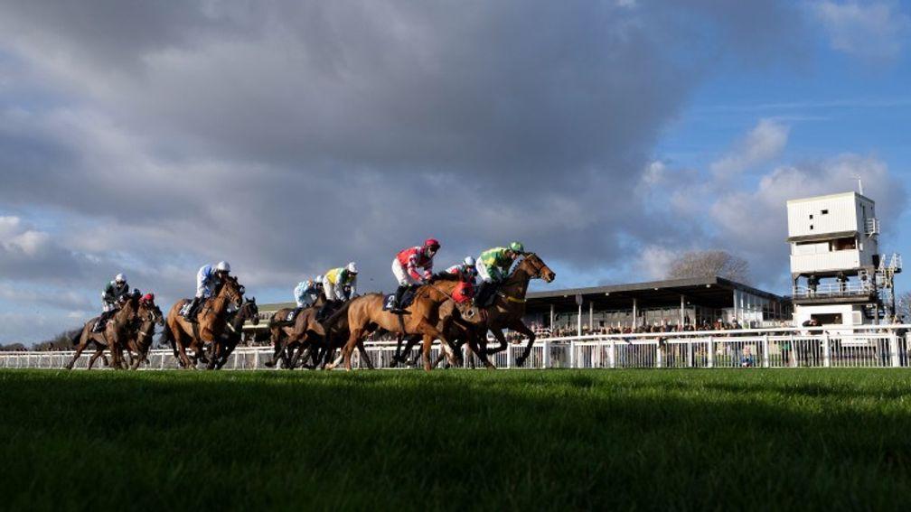 Hereford: Theatre Man impressed from start to finish in the opening novice hurdle