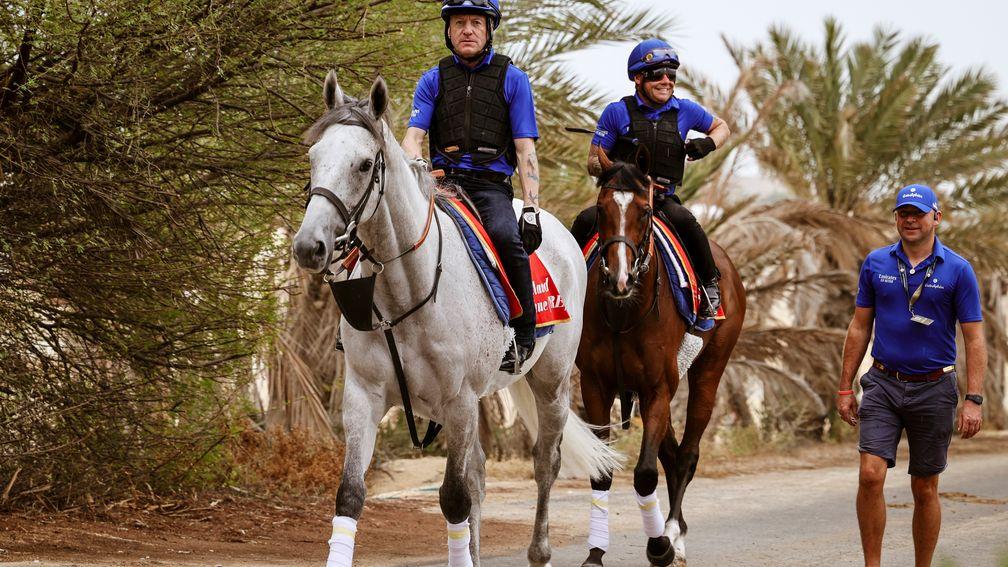 Highland Avenue, with former champion jockey Kieren Fallon in the saddle, leads Charlie Appleby stablemate Nations Pride out to exercise in Bahrain on Thursday