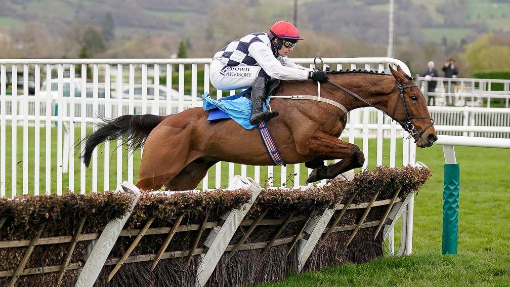 Paul Townend riding Ballyburn clear the last to win the Gallagher Novices' Hurdle during day two of the Cheltenham Festival