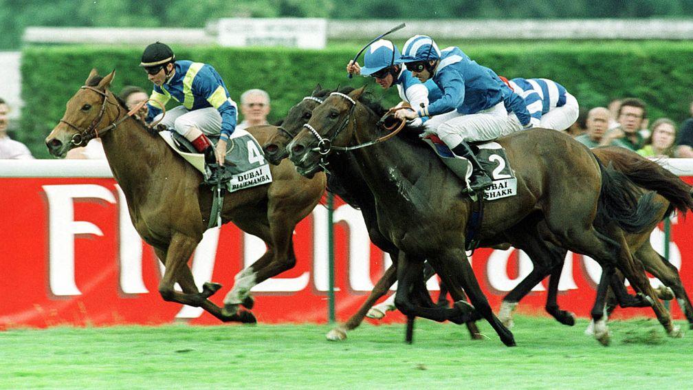 Bluemamba (left): 2000 Poule d’Essai des Pouliches winner was the dam of four winners including Indigo Cat