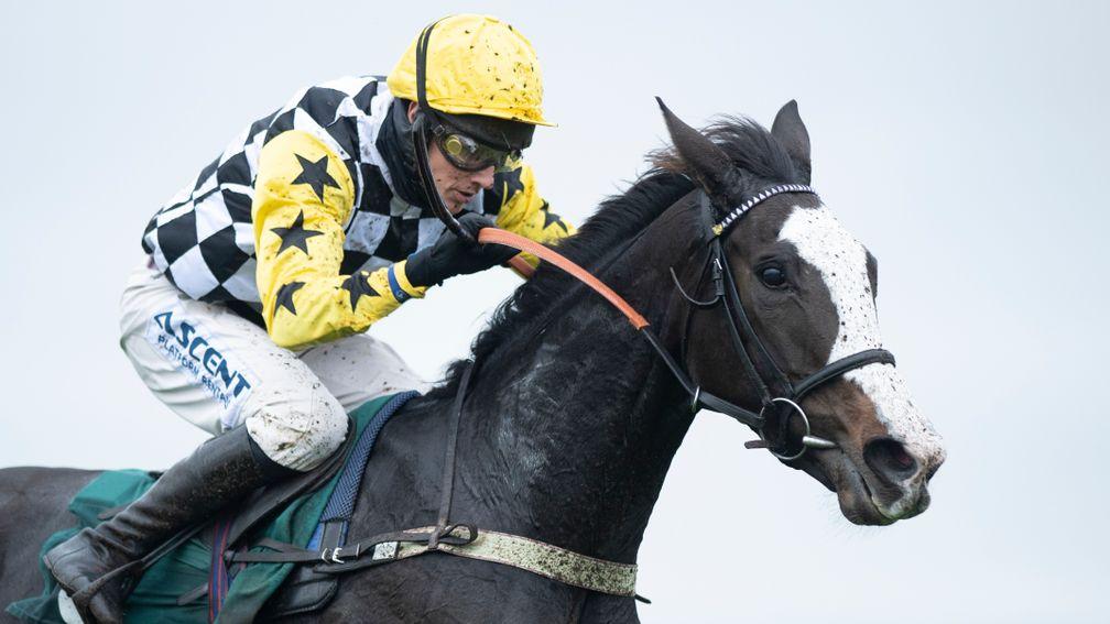 The Glancing Queen: set to make her seventh start at Cheltenham on Friday