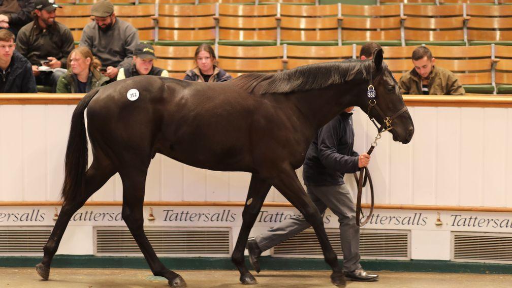 The Wootton Bassett colt out of Entreat who set Coolmore and White Birch back 1,250,000gns