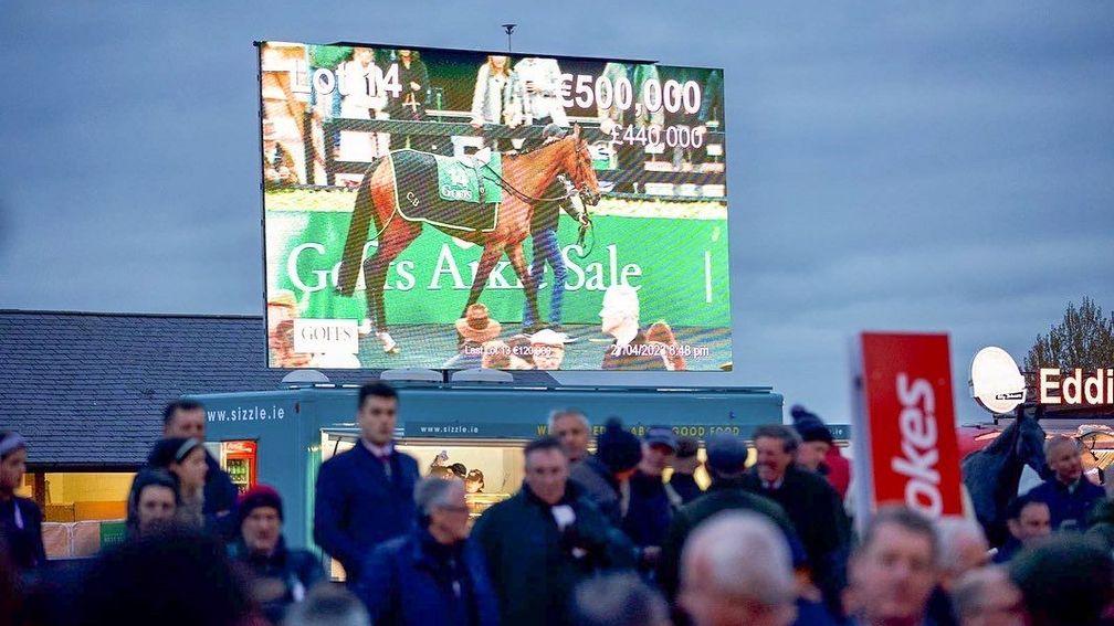 The Goffs Punchestown Sale produced the goods from the first lot in the ring