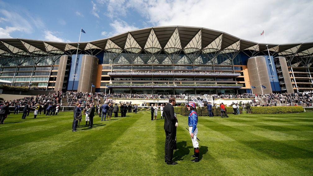 Ascot's new grandstand: vast construction is an undeniably spectacular edifice